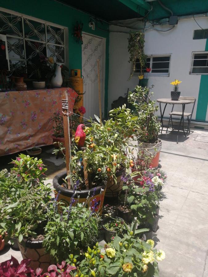 Departamento Cercano Al Aeropuerto T2, A 2 Calles مدينة مكسيكو المظهر الخارجي الصورة